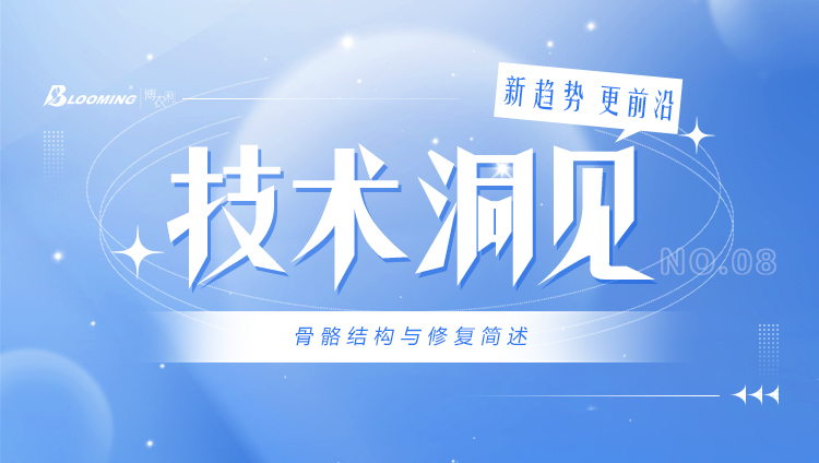技術(shù)洞見 | 骨骼結(jié)構(gòu)與修復(fù)簡述